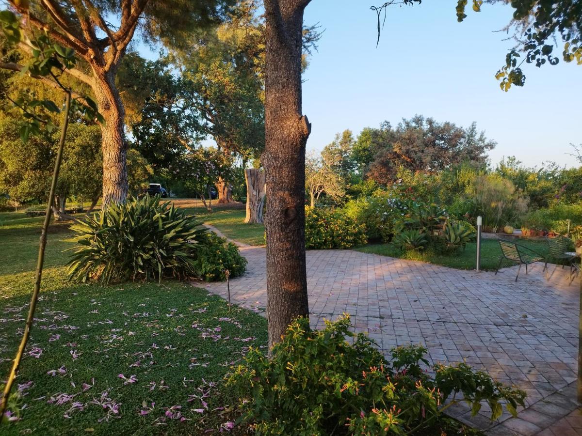 Saja Country House Acireale Dış mekan fotoğraf