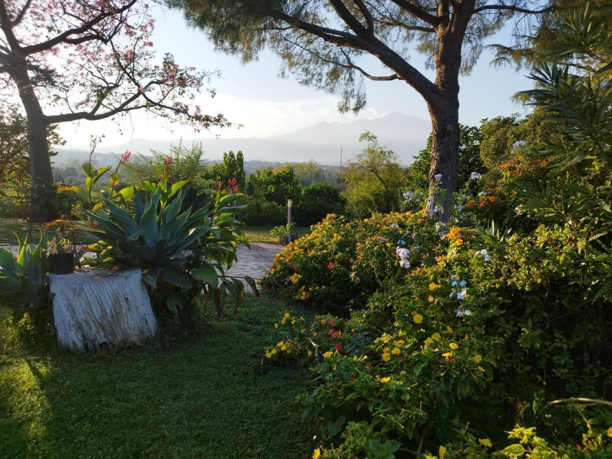 Saja Country House Acireale Dış mekan fotoğraf